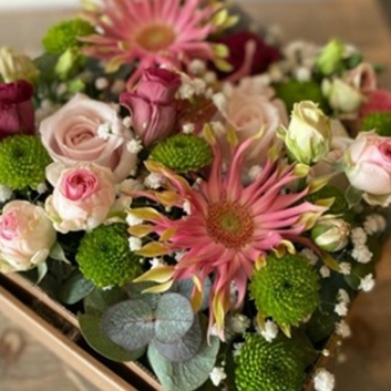 Blumenbox Sommertraum - verschiedene Sommerblumen und Blüten
