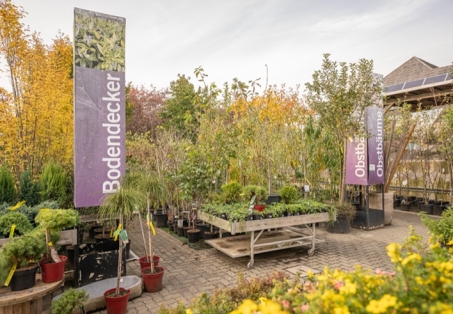 Pflanzen, Bäume und Gemüsesamen kaufen bei Garten Kochauf